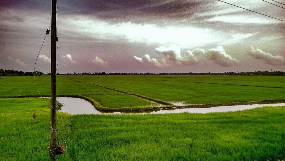 Sea Breeze Beach Home Alappuzha Buitenkant foto